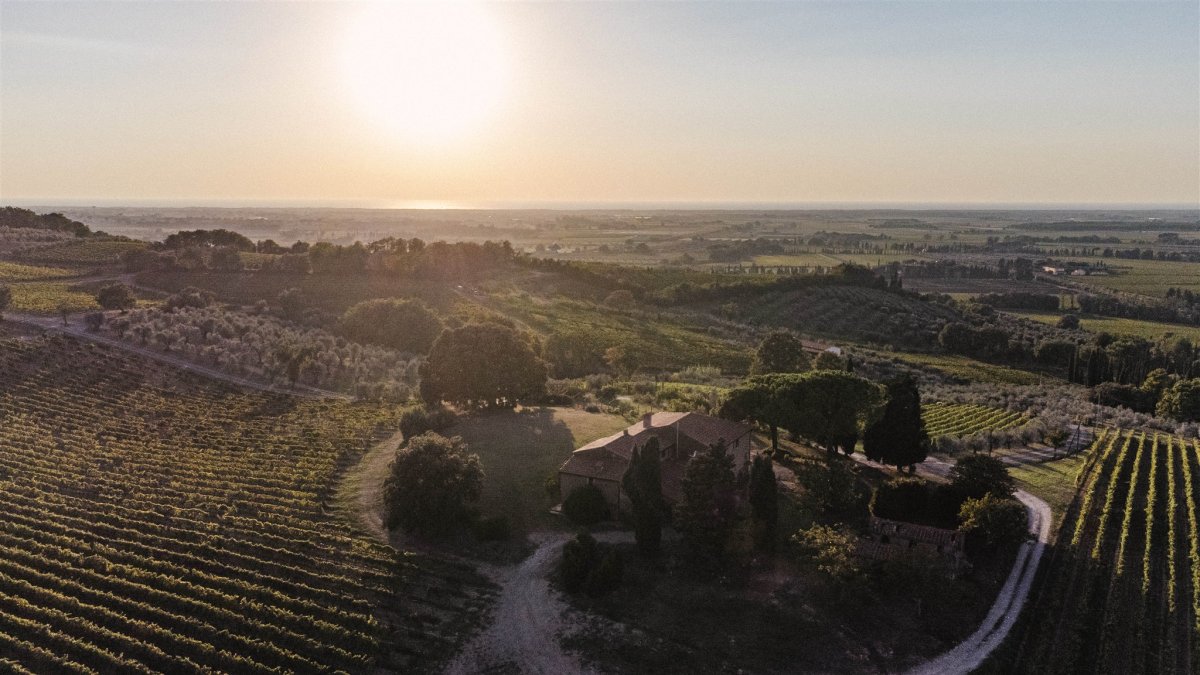 Cave de La Côte lance Vinissimo, une sélection exclusive de vins d’ailleurs pour compléter son offre de vins suisses